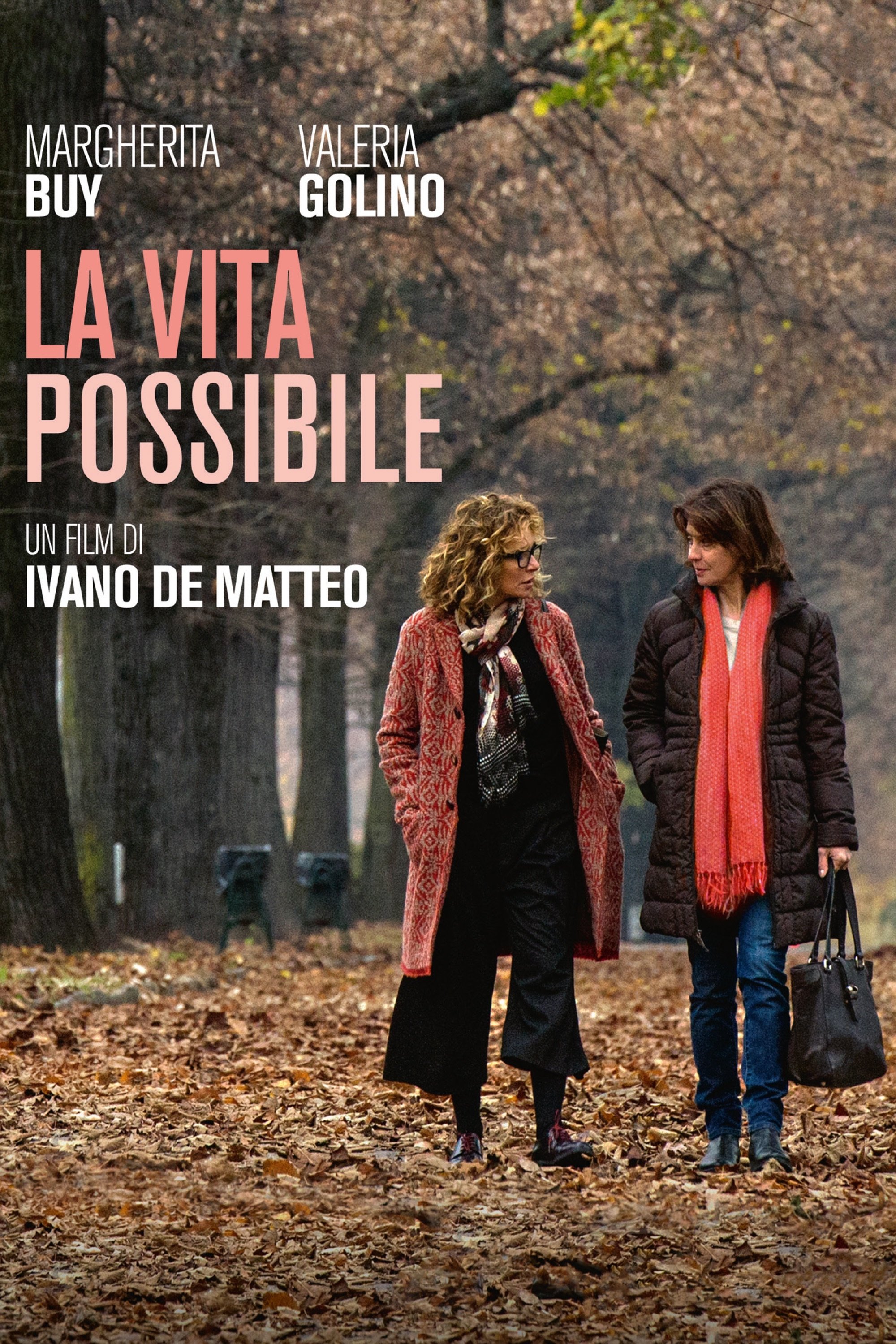 Постер La vita possibile